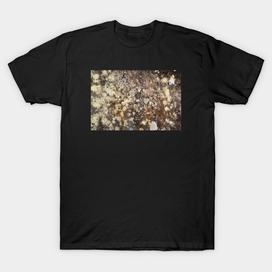 Fungus on rock - Fungi - T-Shirt