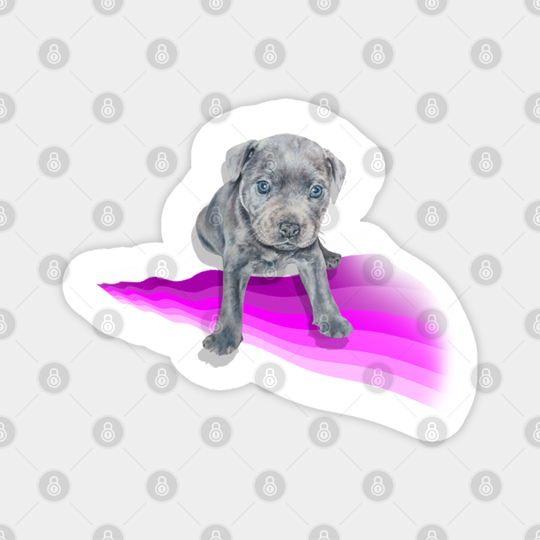 Gorgeous blue staffy pup painting on a rainbow wave - Puppy - Pillow