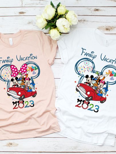 Discover Disney Family Shirt, Disney family Shirt 2023, Disney World Shirt, Disney Family Vacation Shirt