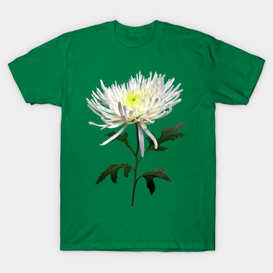 Chrysanthemums - White Spider Mum - Chrysanthemum - T-Shirt
