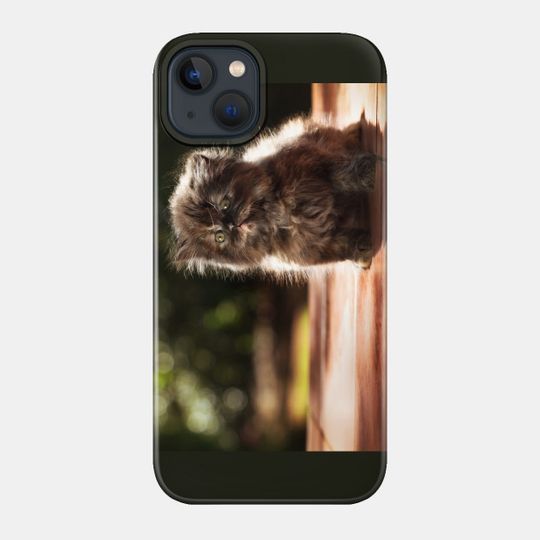 ...and whiskers on kittens... - Kitten - Phone Case