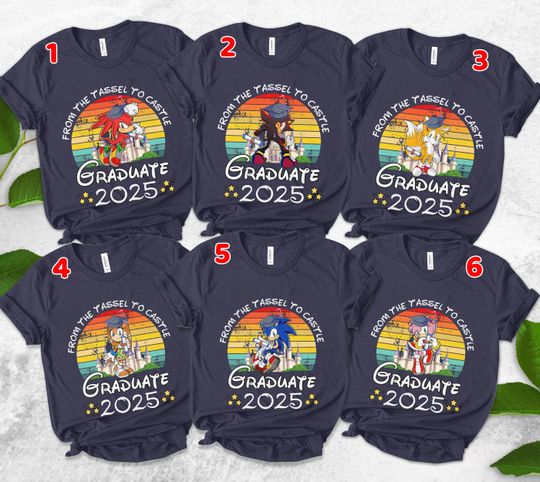 Sonic The Hedgehog Graduation Shirt/From The Tassel To The Castle/Sonic And Friends Graduate Tee