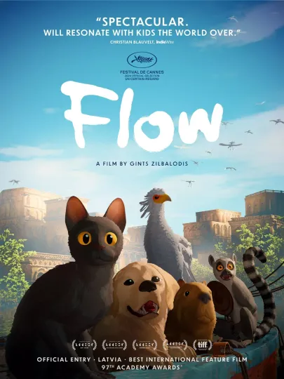 Discover Flow - poster