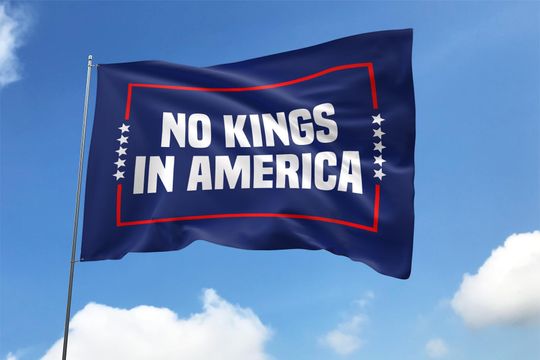 No Kings in America Flag, Anti-Trump, Protest Flag, Democracy Flag, Protest, Gift for Anti-MAGA, Patriotic Flag, Liberal House Flag