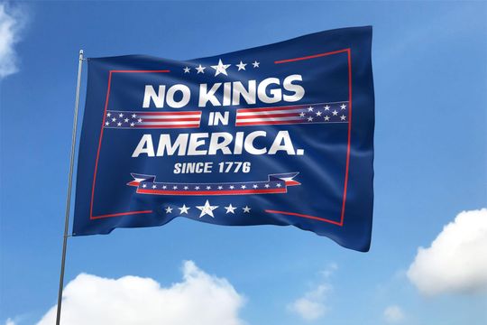 No Kings in America Flag, Anti-Trump, Protest Flag, Democracy Flag, Protest, Gift for Anti-MAGA, Patriotic Flag, Liberal House Flag