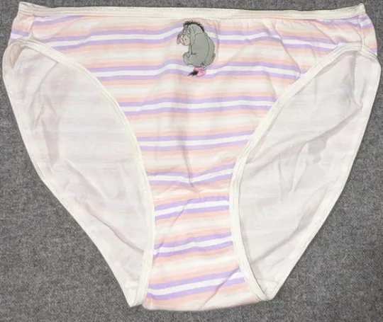 Lot of 2 Disney Land Eeyore & Tigger Cotton Bikini Panties M by Winnie The Pooh