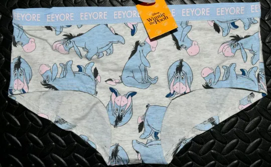 Eeyore Knickers Disney Winnie The Pooh Panties Womens Underwear UK Sizes 6 to 22