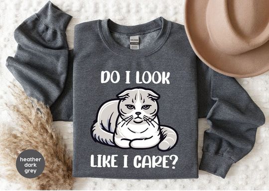 Discover Do I Look Like I Care Sweatshirt, Sarcastic Cat Hoodies, Cat Lover Sweatshirts, Funny Sarcastic Sweatshirt, Cat Lover Sweater