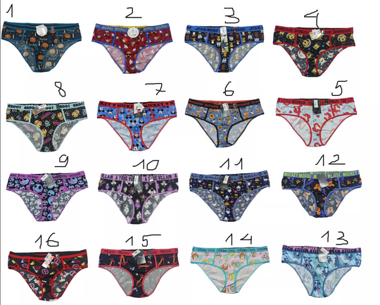 Torrid  HIPSTER Plus PANTIES BRIEF PANTY KNICKERS UNDERWEAR NWT