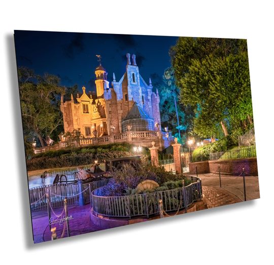 Discover Haunted Mansion WDW Disney World Orlando Florida Print Canvas Acrylic Metal Wall Art Home Decor Wall Decor