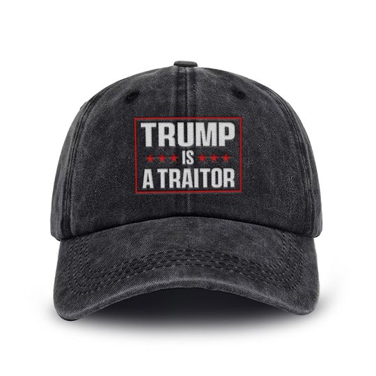 Trump Is a Traitor Embroidered Hat, Anti-Trump, Protest Hat, Democracy Hat, Protest, Gift for Anti-MAGA, Patriotic Hat, Liberal