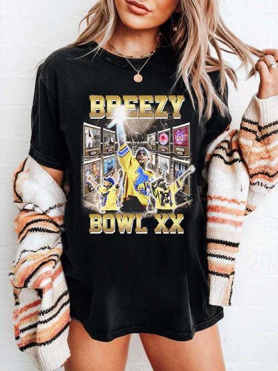 Chris Brown Tshirts, Chris Brown Concert Merch, Chris Brown 2025 Tour, Breezy Bowl XX Concert Tee, Gifts For Chris Brown Fans