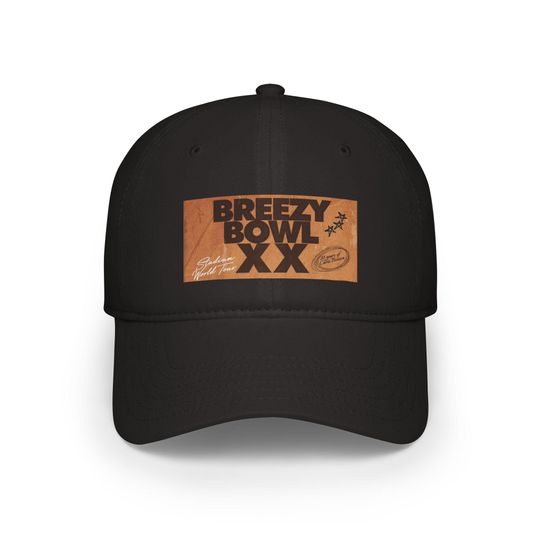 Breezy Bowl Vintage Cap, Chris Brown, Chris Brown Hat, Chris Brown Gift, Breezy Bowl Hat, Breezy Bowl, Breezy Bowl Merch, Chris Brown Merch