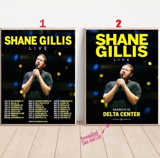 Custom Shane Gillis 2025 Tour Poster