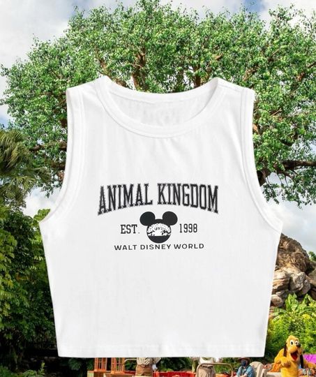 4 Parks One World crop top | Disney inspired Crop Top | Disney shirt | Animal Kingdom vacation shirt | Multi colors available