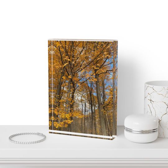 Nature Wall Art, Birchwood Trees, Photo Block, Nature Photography Decor, Stress Relief Gift, Wooden Block Art, Home Office Decor