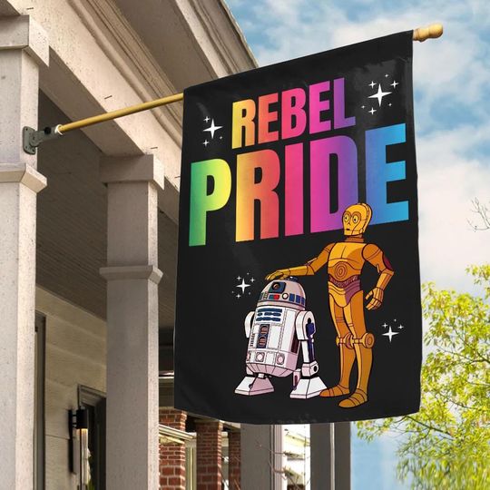 Star Wars R2D2 BB8 Rebel Rainbow Pride Flag, Disney Pride Month Flag, Gay Lesbian LGBT Support, Human Rights, Galaxy's Edge