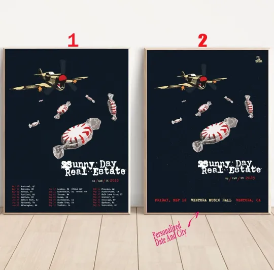 Custom Sunny Day Real Estate Tour 2025 Poster