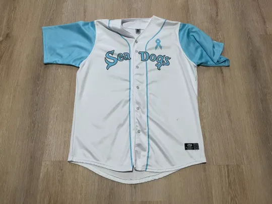 Discover #30 Game Used Worn Portland Sea Dogs Father's Day Jersey Red Sox