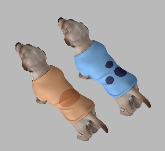 Disney Dog Tank Top - Blue Big Sister & Orange Little Sister