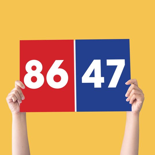 Discover 8647 | 17x11 Printable Protest Sign | Great Protest Poster | Anti-Trump Protest