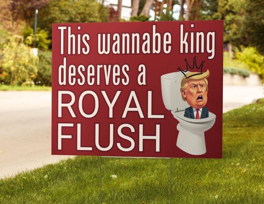 Funny anti Trump sign for protest no kings sign