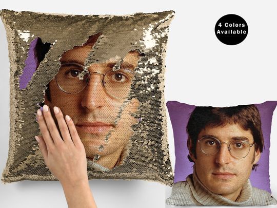 Louis Theroux Flip Sequin Pillow Cover