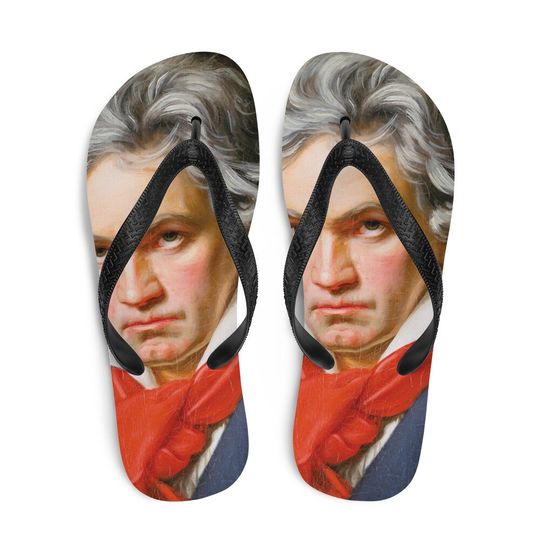 Beethovan Flip-Flops, Classical music flip flops, Musician gift