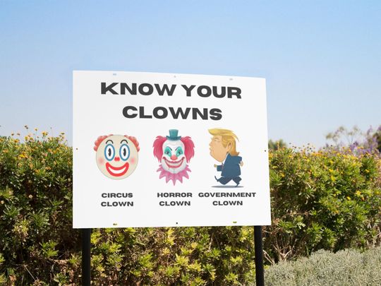 Subtle F*ck Trump Garden Sign, Funny Anti-Trump Yard Banner, Anti-MAGA Decor