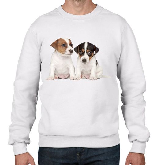 Jack Russell Puppies Men's Sweatshirt Jumper - Dogs Pets Dog Cute Pups Puppy