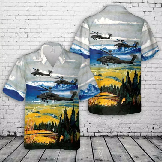 US Army Boeing AH 64D Apache Longbow 09 5665 Arizonna Army NG 1st Apache Helicopt