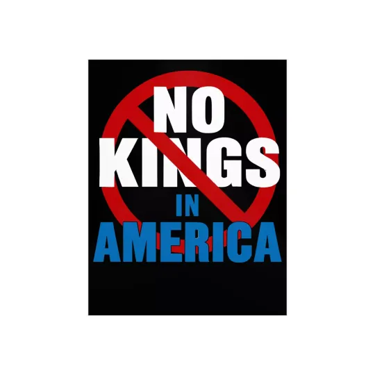 No Kings In America Foam Board  Protest Sign For March, Anti Trump, Musk