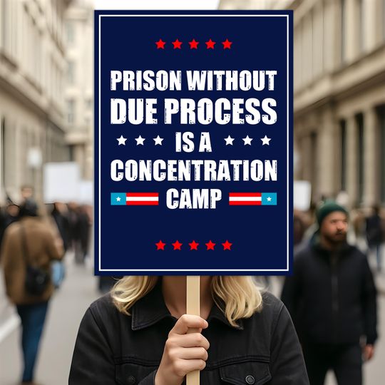 Due Process Resist No Kings Protest Sign, Anti-Trump Resistance, Political Activist Protest Sign