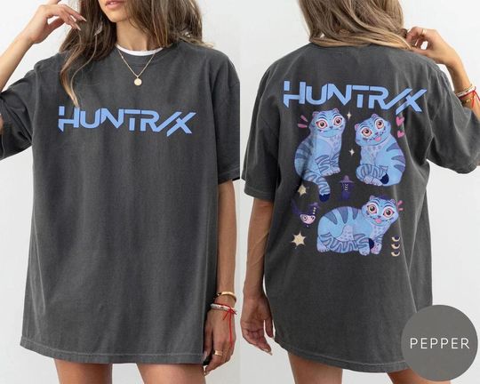 Demon Hunter Tiger shirt, Derpy the Tiger And Bird Demon Hunter Tiger Tee, Hunters Tiger fan, Kpop Saja Boys Shirt, Kpop Demon Hunters