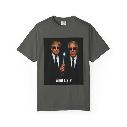Trump and Jeffrey Epstein Shirt, Man In Black Inspired Tee, He is on the list Shirt, Political Protest Tee, Activist Shirt Gift, Funny Meme