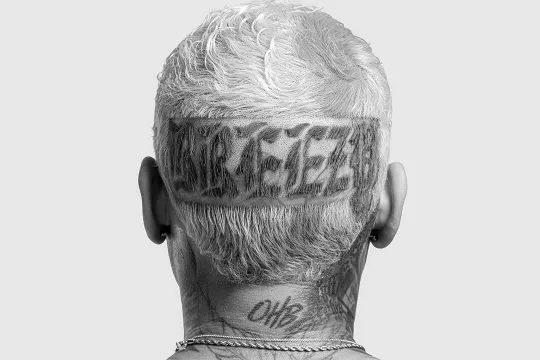 Chris Brown American Rapper Poster Premium Matte Vertical Wall Decor