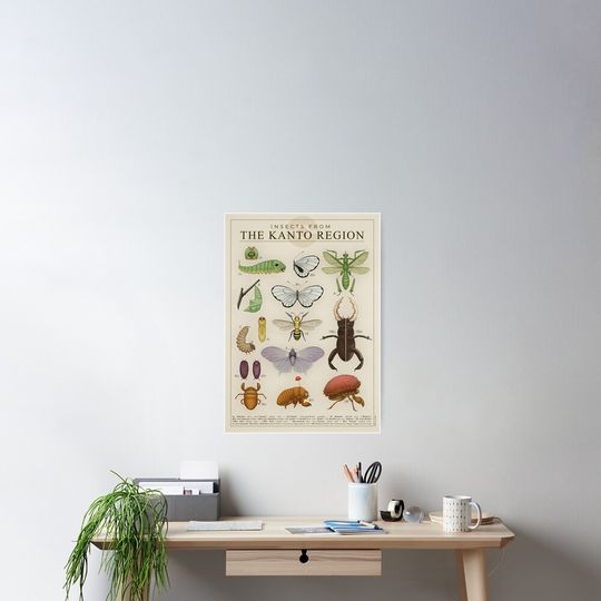 Insects from the Kanto Region Poster