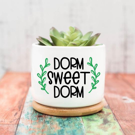 Dorm Sweet Dorm Planter, Dorm Room Decor Boho, College Student Gift, College Gifts, Gift Idea For Her, Graduation Gift, Succulent Planters