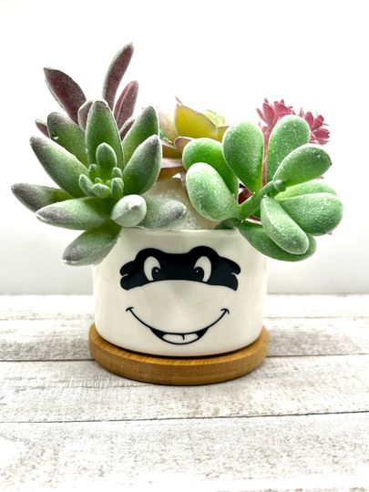 TMNT Ninja Turtles Inspired Plant Pot