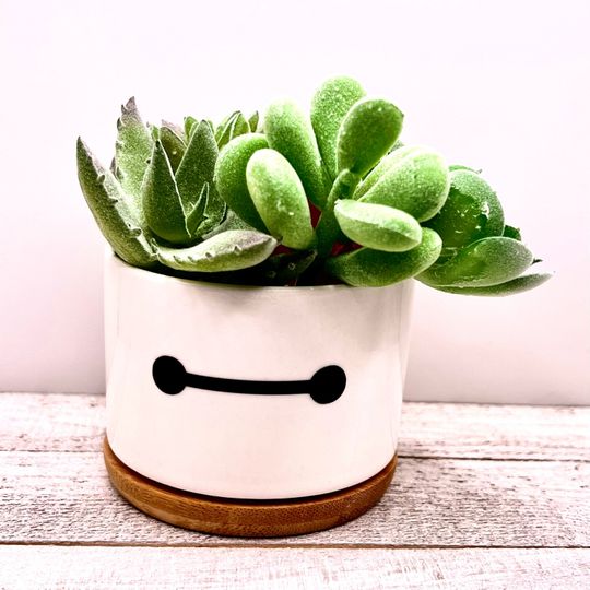 Baymax Big Hero 6 Inspired Plant Pot