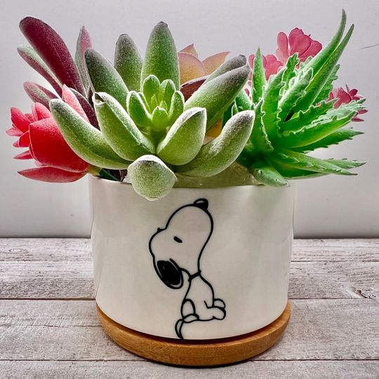 Snoop Inspired Plant Pot