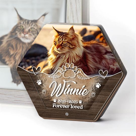 Personalized Wooden Cat Hair Memorial Box with Pet Fur and Photo, Wooden Pet Memorial Jewelry Box