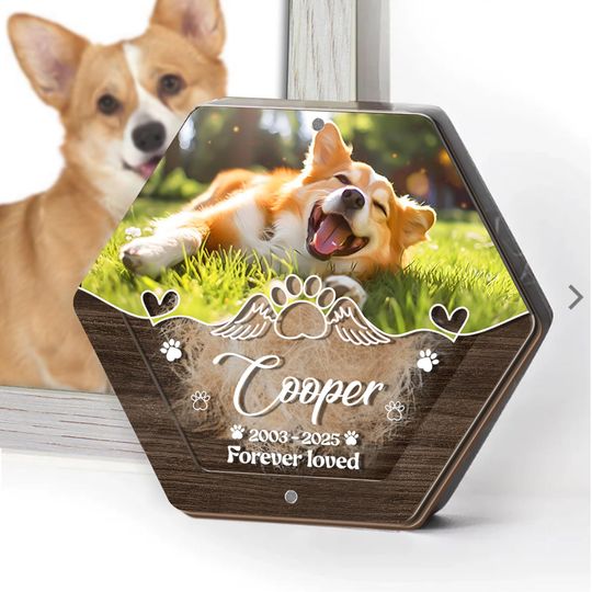 Custom Pet Hair Storage Box with Pet Photo and Keepsake, Wooden Memorial Box for Pet Memory, Personalized Jewelry Gift