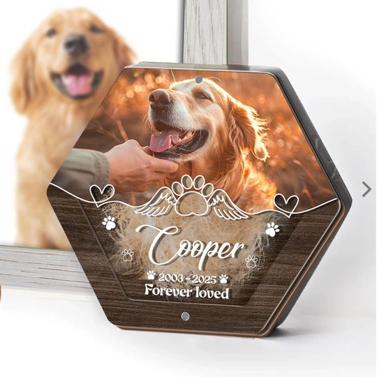 Customized Wooden Pet Memorial Box with Acrylic Display, Pet Tooth Keepsake, Personalized Jewelry Storage