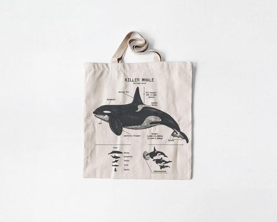 Killer Whale Anatomy Tote Bag, Cotton Canvas Killer Whale Tote, Natural Orca Tote Bag, Killer Whale Biology, Killer Whale Artwork
