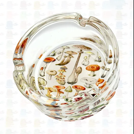 Vintage Botanical Mushroom Chart Foraging - Solid Heavy Glass Ash Tray Custom Gift Idea