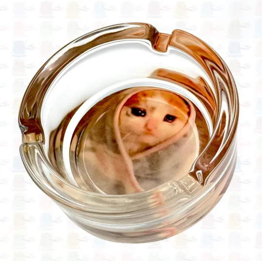 Sad Cat in Blanket Glass Ashtray – Funny Cute Kitten Meme Novelty Gift