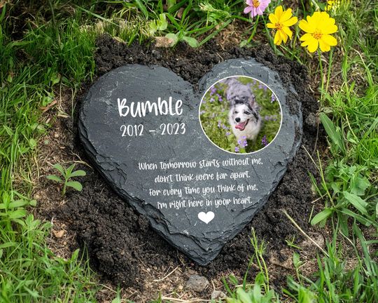 Custom Pet Memorial Heart Stone with Photo - Dog or Cat Loss Garden Tribute