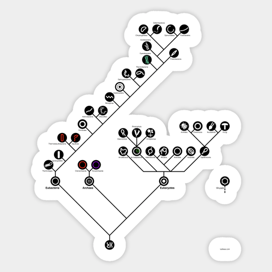 The tree of life - Science - Sticker