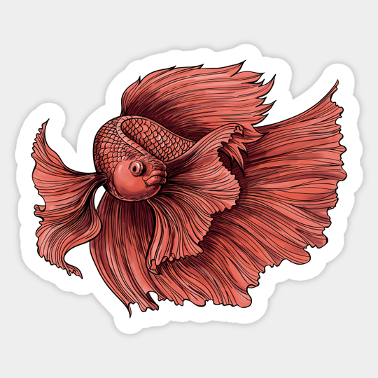 Coral Siamese fighting fish - Fish - Sticker